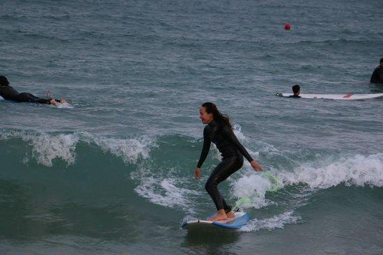 Monkey Surf